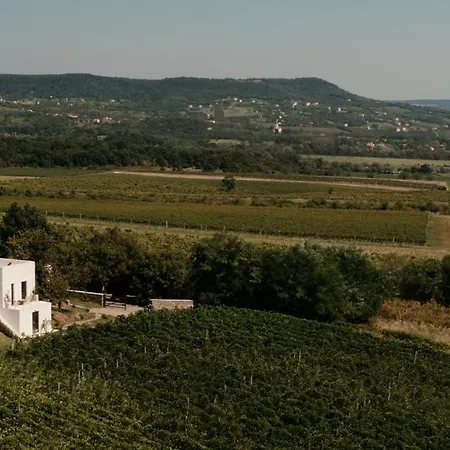Sazue Balaton Σπίτι διακοπών