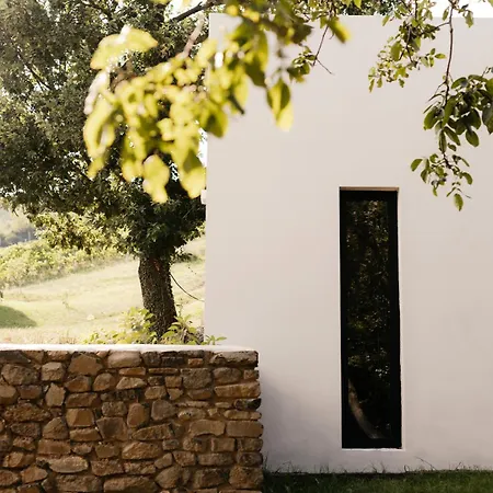 Sazue Balaton * Mindszentkálla