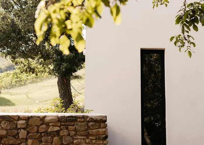 Sazue Balaton * Mindszentkálla